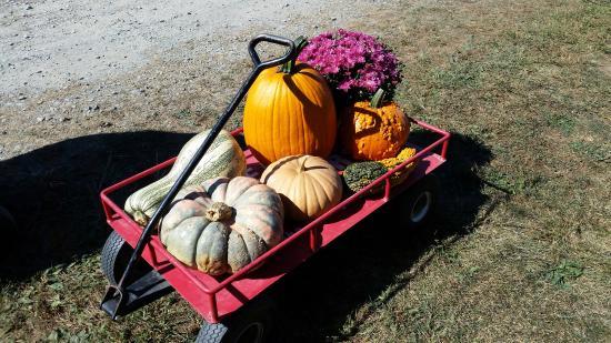 Roba Family Farms